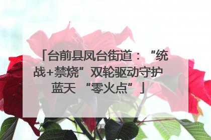 台前县凤台街道：“统战+禁烧”双轮驱动守护蓝天 “零火点”