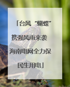 台风“蝴蝶”携强风雨来袭 海南电网全力保民生用电