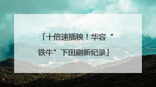 十倍速插秧！华容“铁牛”下田刷新纪录