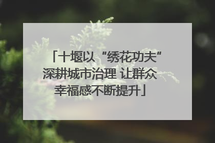 十堰以“绣花功夫”深耕城市治理 让群众幸福感不断提升