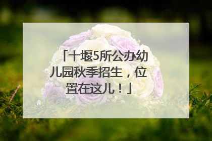 十堰5所公办幼儿园秋季招生，位置在这儿！