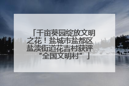千亩葵园绽放文明之花！盐城市盐都区盐渎街道花吉村获评“全国文明村”