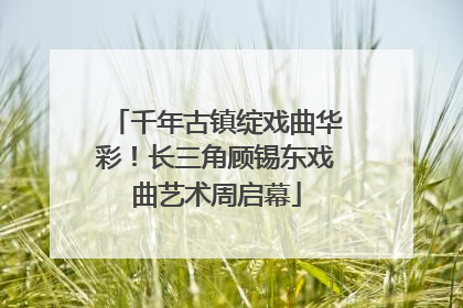 千年古镇绽戏曲华彩！长三角顾锡东戏曲艺术周启幕