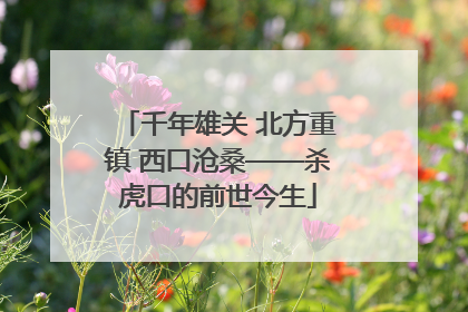 千年雄关 北方重镇 西口沧桑——杀虎口的前世今生