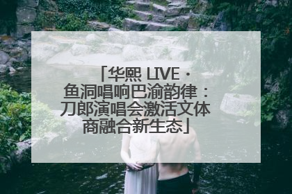 华熙 LIVE・鱼洞唱响巴渝韵律：刀郎演唱会激活文体商融合新生态