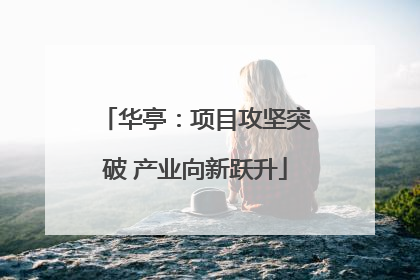 华亭：项目攻坚突破 产业向新跃升