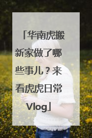 华南虎搬新家做了哪些事儿？来看虎虎日常Vlog