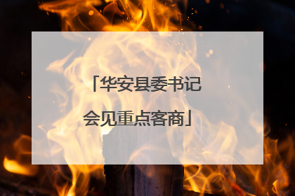 华安县委书记会见重点客商