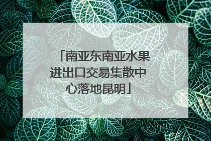 南亚东南亚水果进出口交易集散中心落地昆明