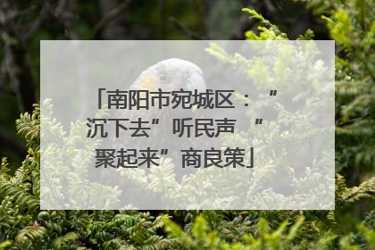 南阳市宛城区：“沉下去”听民声 “聚起来”商良策