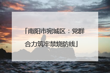 南阳市宛城区：党群合力筑牢禁烧防线