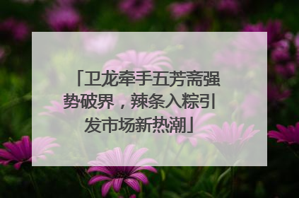 卫龙牵手五芳斋强势破界，辣条入粽引发市场新热潮