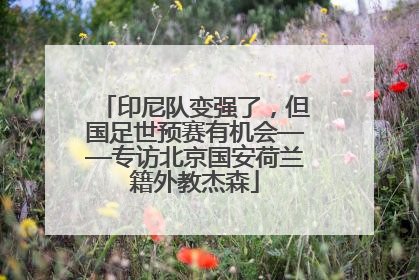 印尼队变强了，但国足世预赛有机会——专访北京国安荷兰籍外教杰森
