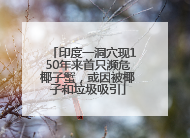 印度一洞穴现150年来首只濒危椰子蟹，或因被椰子和垃圾吸引