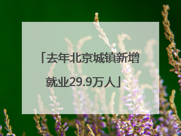 去年北京城镇新增就业29.9万人