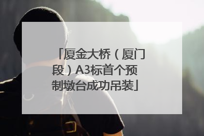 厦金大桥（厦门段）A3标首个预制墩台成功吊装