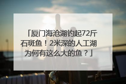 厦门海沧湖钓起72斤石斑鱼！2米深的人工湖为何有这么大的鱼？
