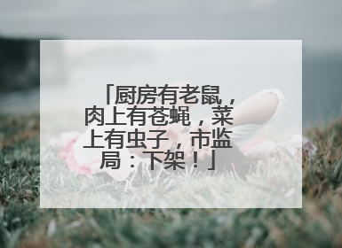 厨房有老鼠，肉上有苍蝇，菜上有虫子，市监局：下架！