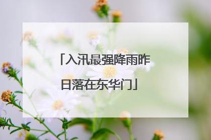 入汛最强降雨昨日落在东华门