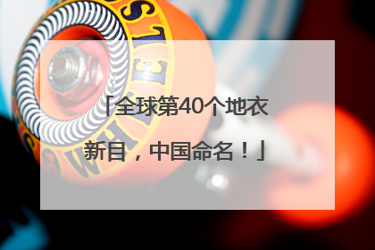 全球第40个地衣新目，中国命名！