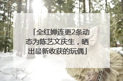 全红婵连更2条动态为陈艺文庆生，晒出最新收获的玩偶