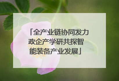 全产业链协同发力 政企产学研共探智能装备产业发展