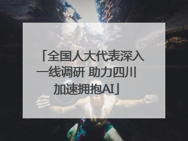 全国人大代表深入一线调研 助力四川加速拥抱AI