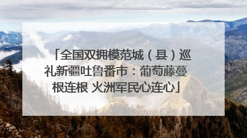 全国双拥模范城（县）巡礼新疆吐鲁番市：葡萄藤蔓根连根 火洲军民心连心