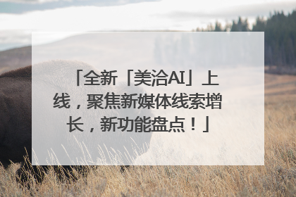 全新「美洽AI」上线，聚焦新媒体线索增长，新功能盘点！