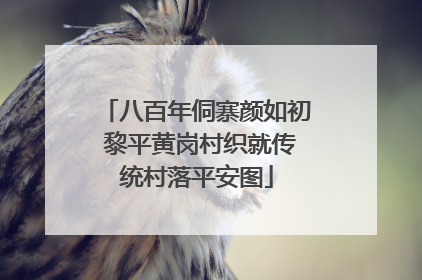 八百年侗寨颜如初 黎平黄岗村织就传统村落平安图