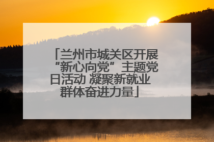 兰州市城关区开展“新心向党”主题党日活动 凝聚新就业群体奋进力量