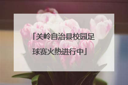 关岭自治县校园足球赛火热进行中