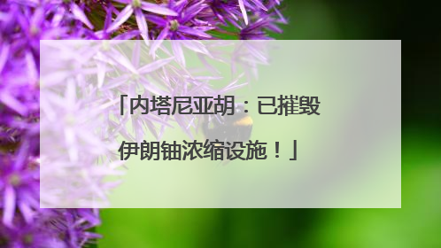内塔尼亚胡：已摧毁伊朗铀浓缩设施！