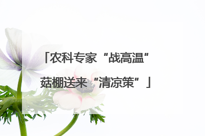 农科专家“战高温” 菇棚送来“清凉策”