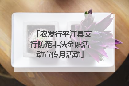 农发行平江县支行防范非法金融活动宣传月活动