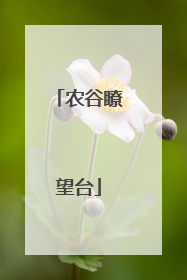 农谷瞭望台