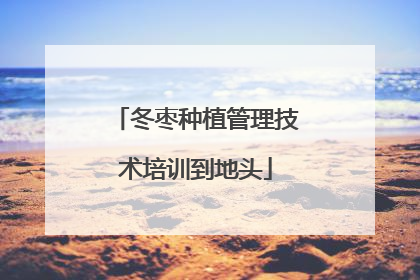 冬枣种植管理技术培训到地头