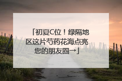 初夏C位！绿隔地区这片芍药花海点亮您的朋友圈→