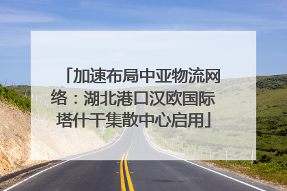 加速布局中亚物流网络：湖北港口汉欧国际塔什干集散中心启用