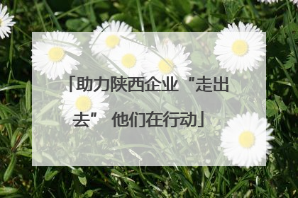 助力陕西企业“走出去” 他们在行动