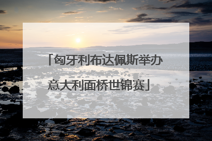 匈牙利布达佩斯举办意大利面桥世锦赛