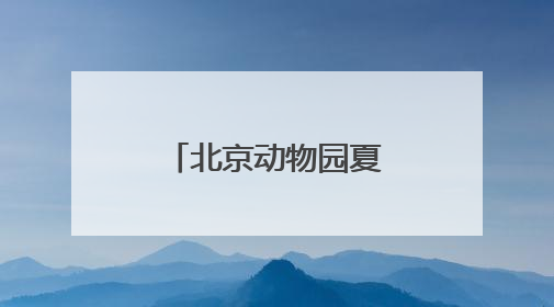 北京动物园夏日菜单丨动物食堂上新啦！
