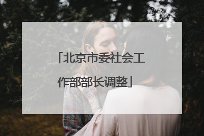 北京市委社会工作部部长调整