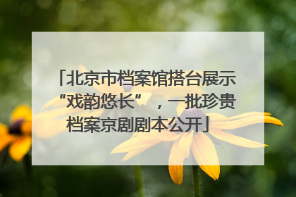 北京市档案馆搭台展示“戏韵悠长”，一批珍贵档案京剧剧本公开