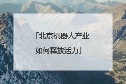 北京机器人产业如何释放活力