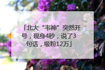 北大“韦神”突然开号，现身4秒，说了3句话，吸粉12万