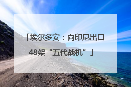 埃尔多安：向印尼出口48架“五代战机”
