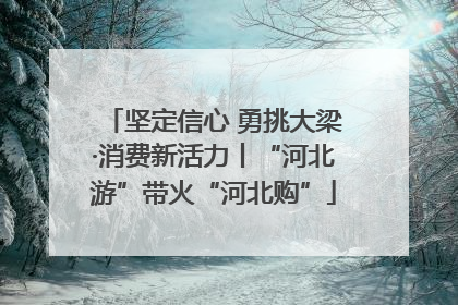 坚定信心 勇挑大梁·消费新活力丨“河北游”带火“河北购”