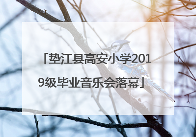 垫江县高安小学2019级毕业音乐会落幕