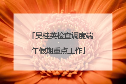 吴桂英检查调度端午假期重点工作